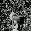 OSIRIS-REx spacecraft doing a sample probe over the surface of the Bennu asteroid
