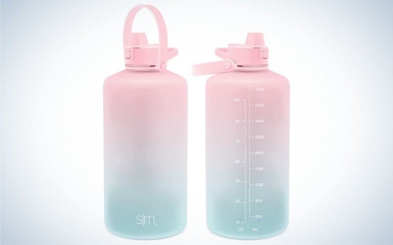 Simple Modern Gallon Water Bottle is the best for the budget.