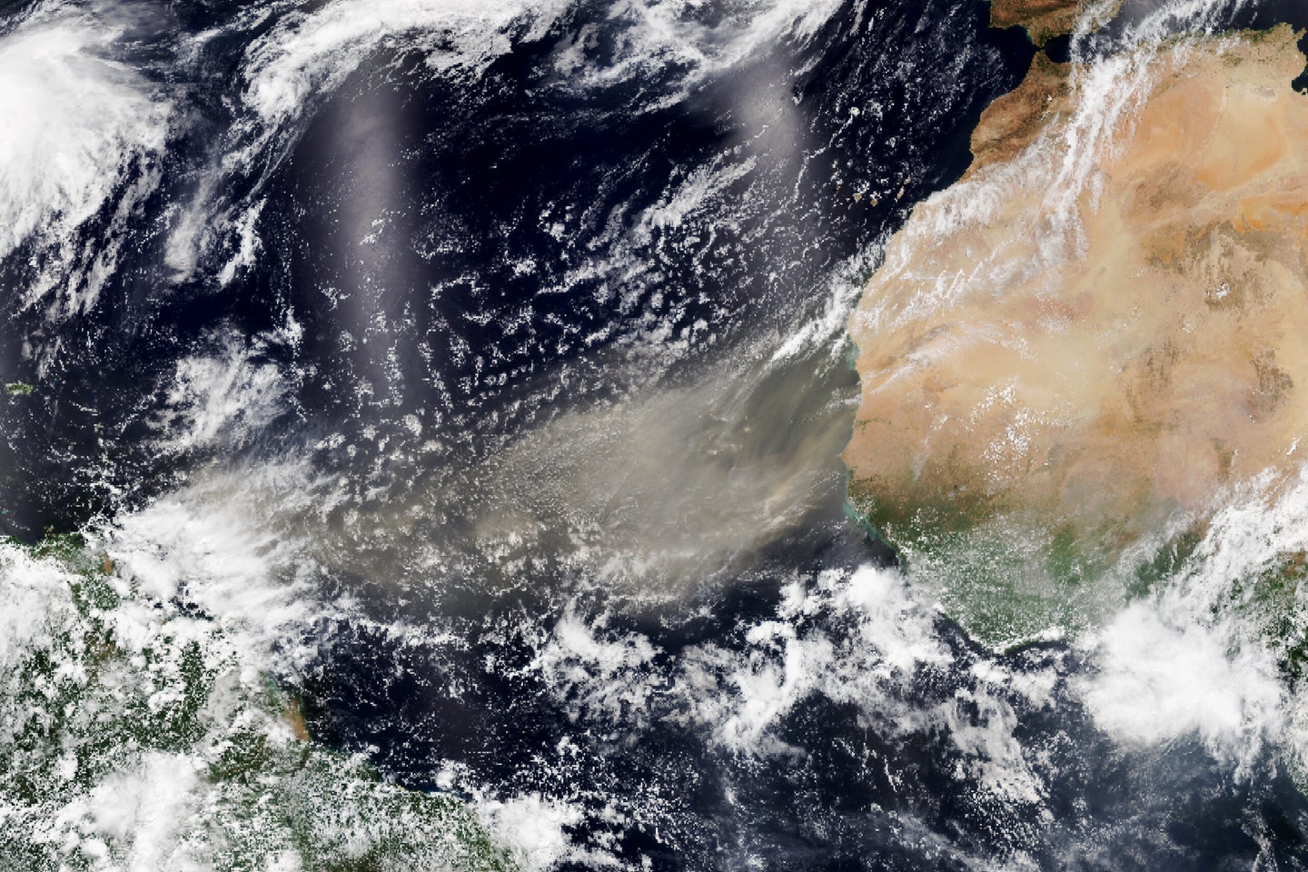 A satellite image of the western coast of Africa. A grey haze extends out over the Atlantic Ocean from the desert.