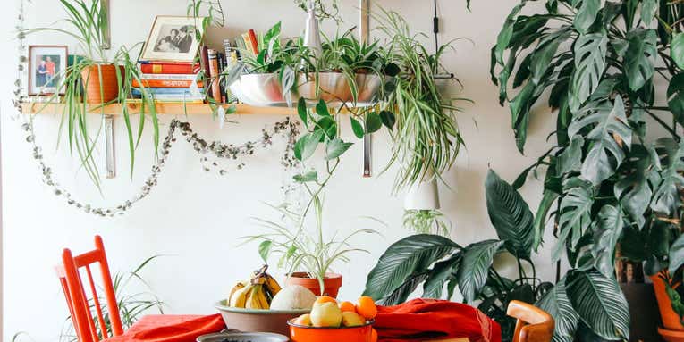 9 nature-inspired decorating tips to make your home a more relaxing space