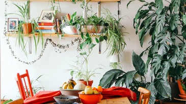 9 nature-inspired decorating tips to make your home a more relaxing space