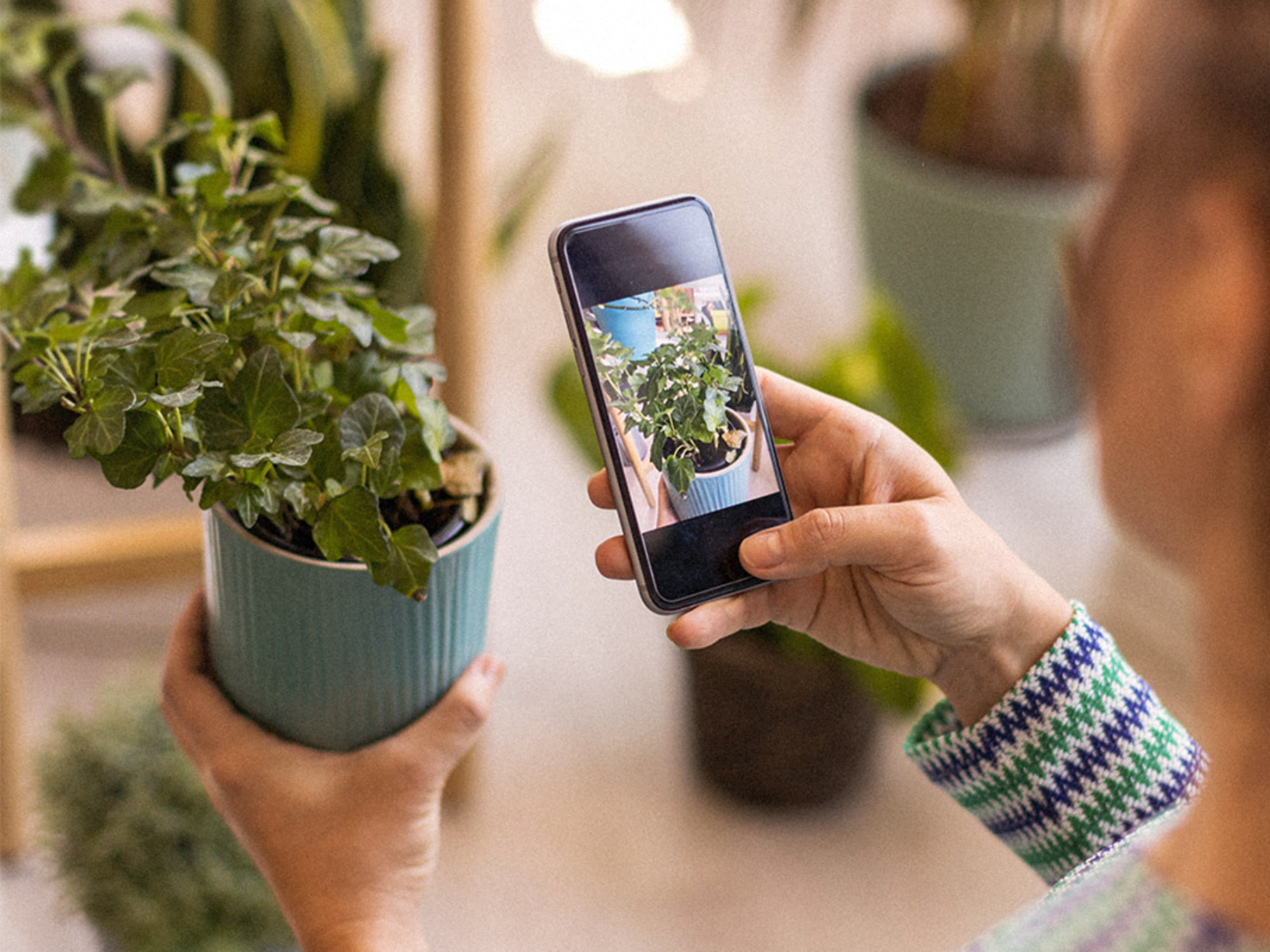 Become a better plant parent with this plant identification and care app