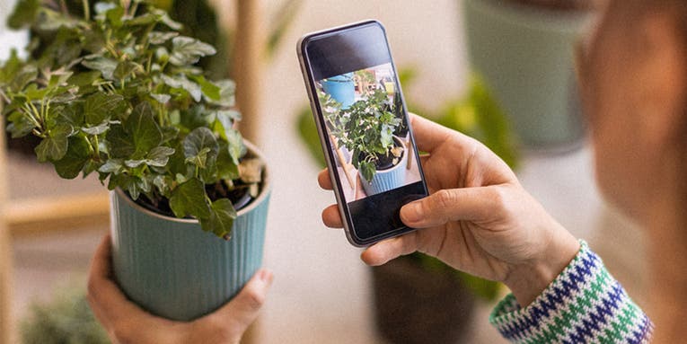 Become a better plant parent with this plant identification and care app