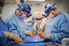 NYU surgeons in scrubs prodding a pig heart with metal tools before a transplant