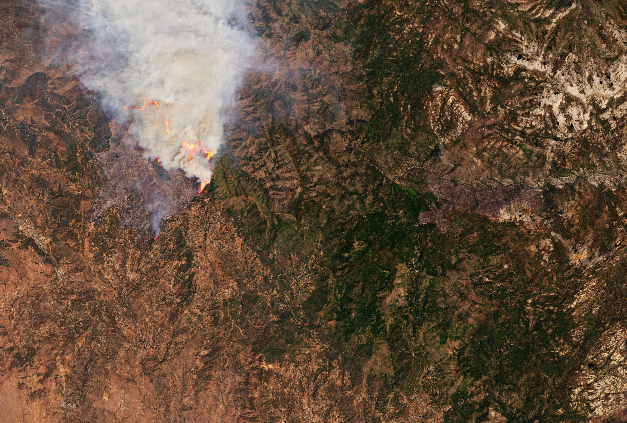 A hellish combination of topography, weather, and fuel stirred the Oak Fire