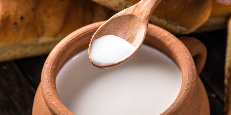 Ancient milk-drinkers were just fine with their lactose intolerance–until famine struck