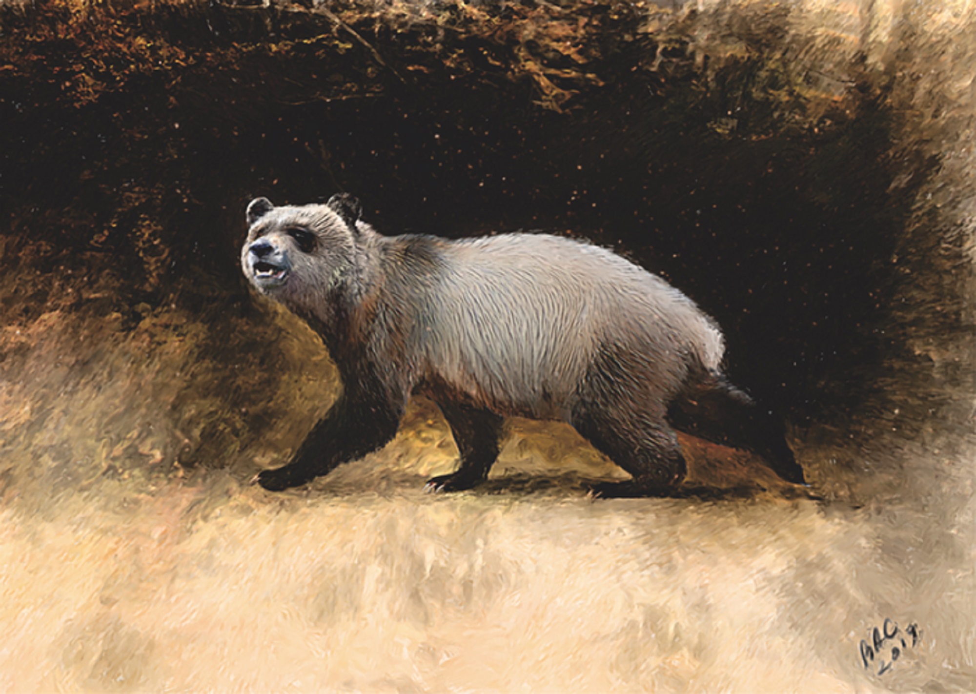 Small European panda from 6 million years ago in a painting