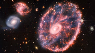 JWST's latest snap captures the glimmering antics of the Cartwheel Galaxy