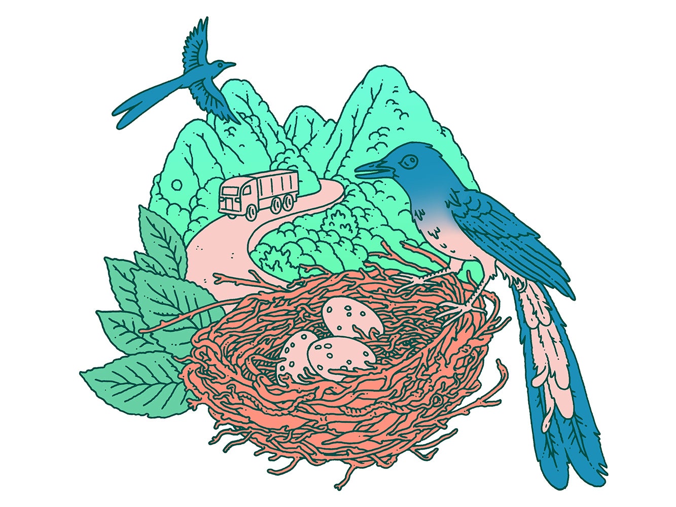 Illustration of birds on nest near road
