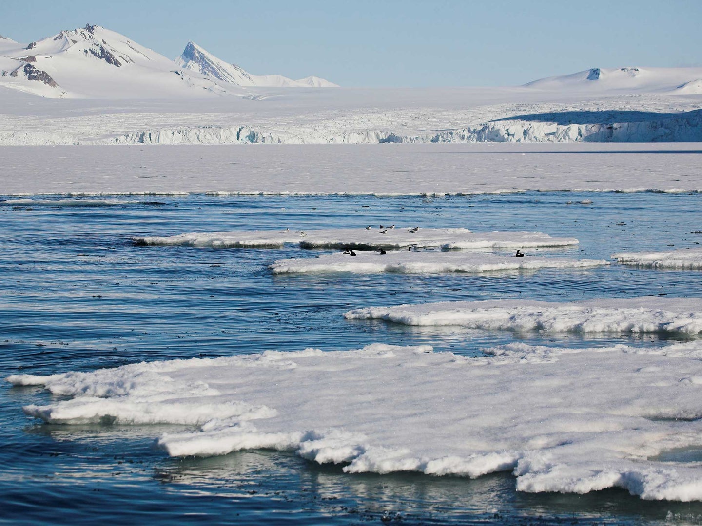 New data on Arctic amplification reveals sobering facts.