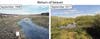 Changes in river ecosystem before and after beaver dam creation on public lands
