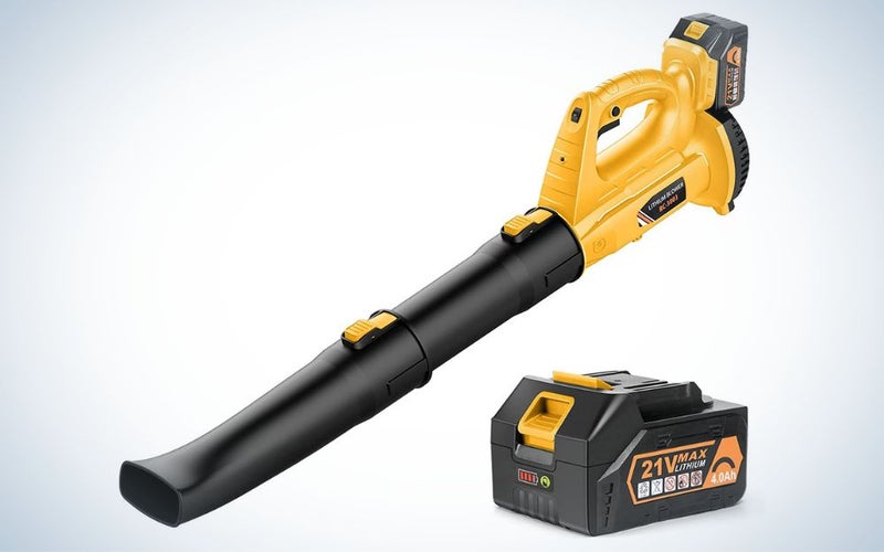 BHY 320 CFM 150 MPH Battery Leaf Blower with 4.0Ah Battery & Charge is the best overall.