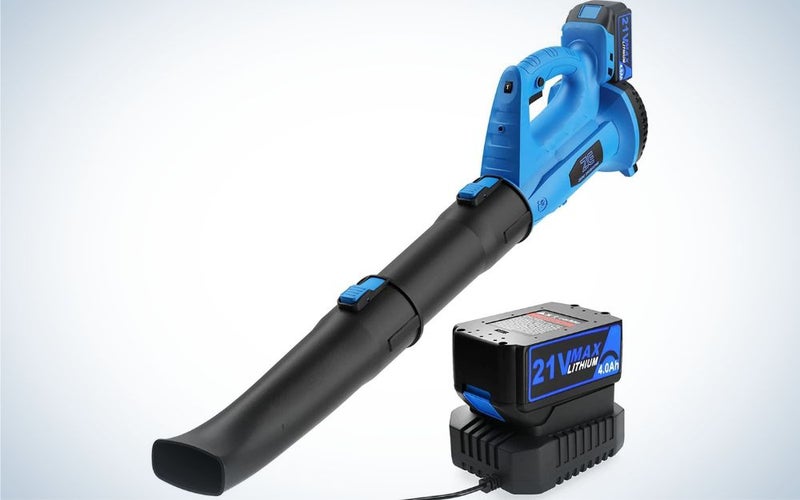 Expansion Wellness Leaf Blower is the best for the budget.