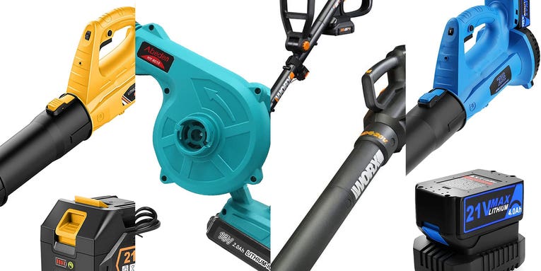 The best cordless leaf blowers of 2024