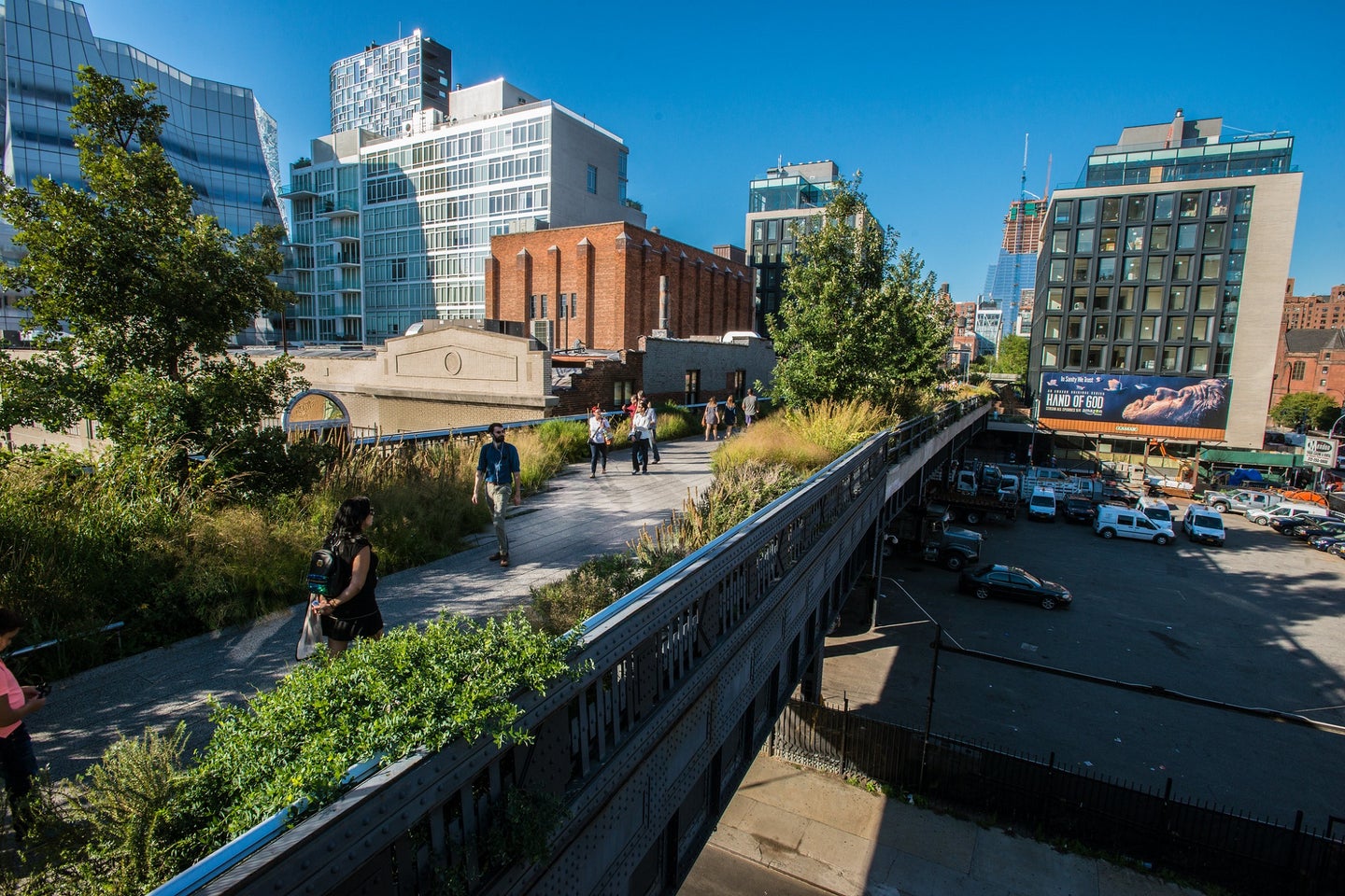 High Line elevated walkway and forest in Manhattan, New York City