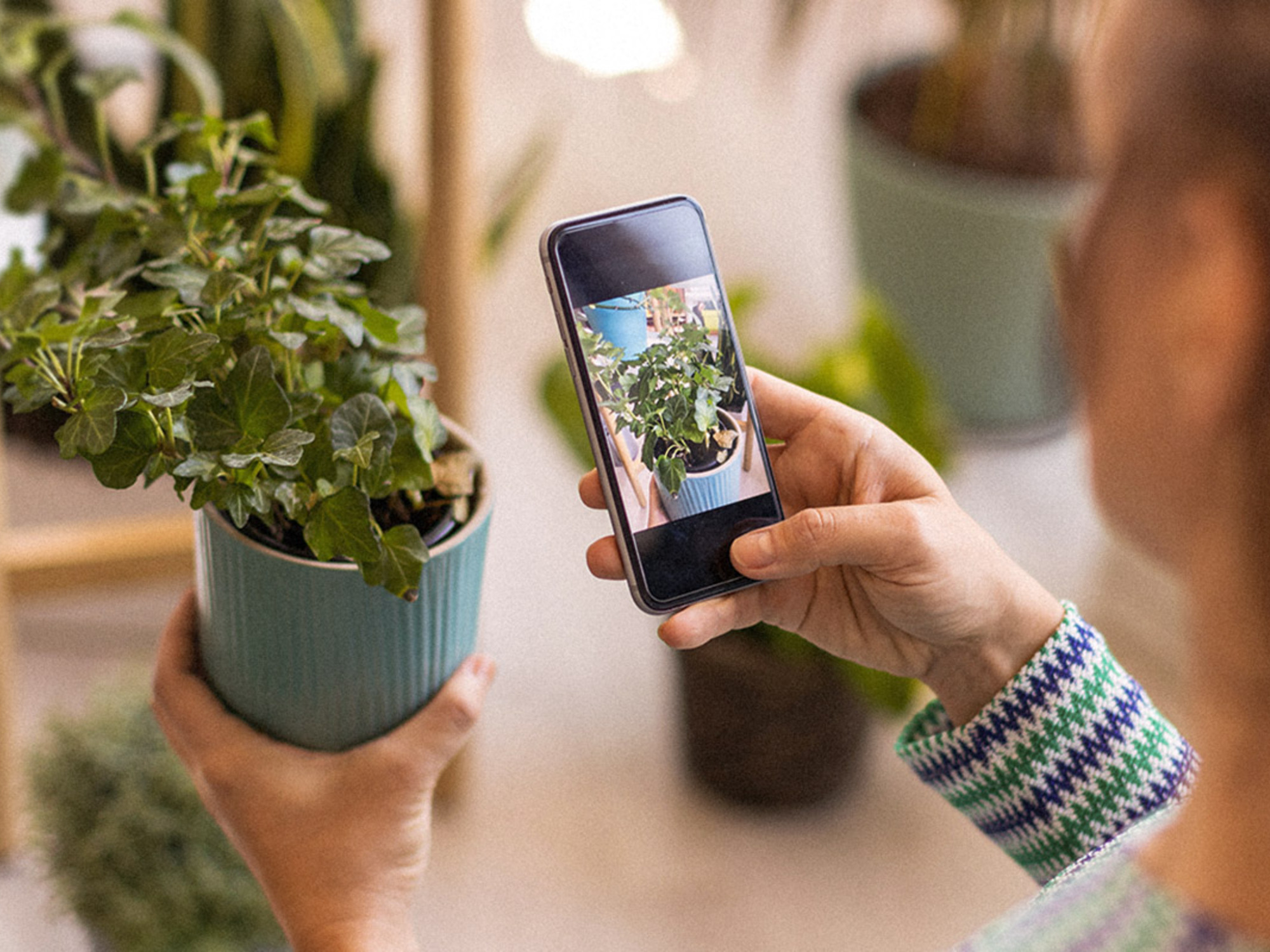 Identify almost any plant with this top-rated app