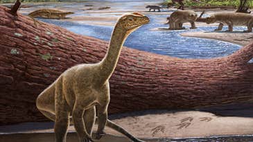 Zimbabwe’s newest dinosaur may be Africa’s oldest