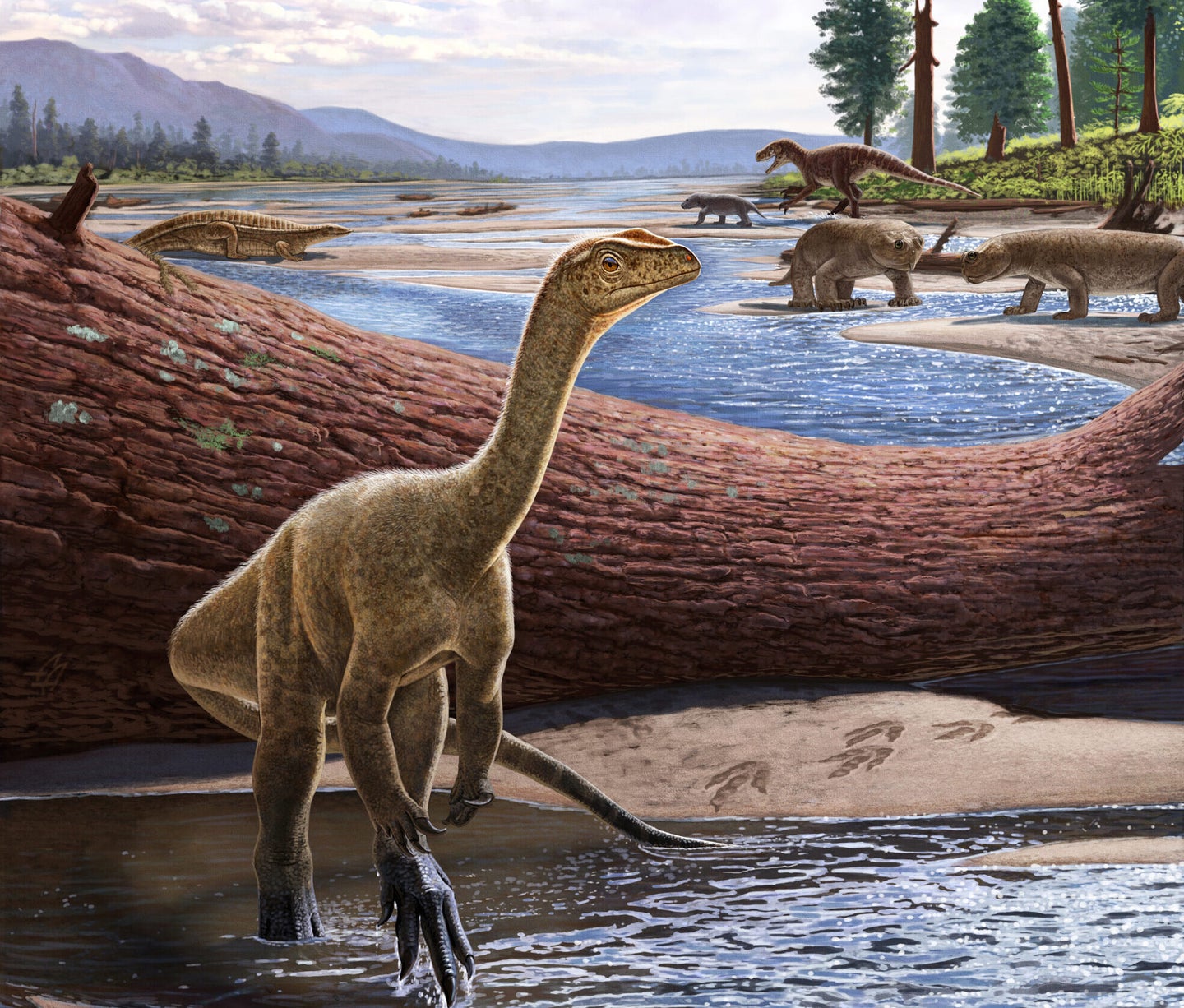 Artistic reconstruction of Mbiresaurus raathi