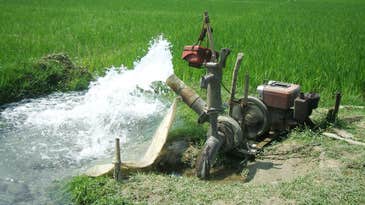 Farmers accidentally created a flood-resistant ‘machine’ across Bangladesh