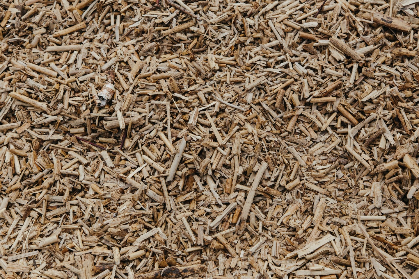 Biomass supply and availability ultimately depend on the climate. 
