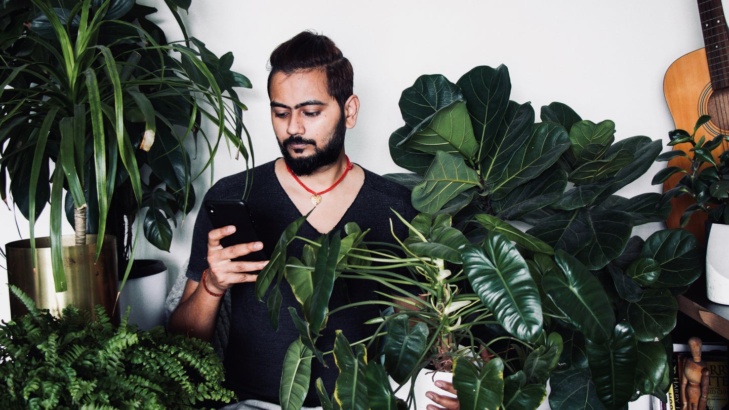 A young man standing among numerous houseplants and looking at his phone in front of a white wall with an acoustic guitar hung on it.