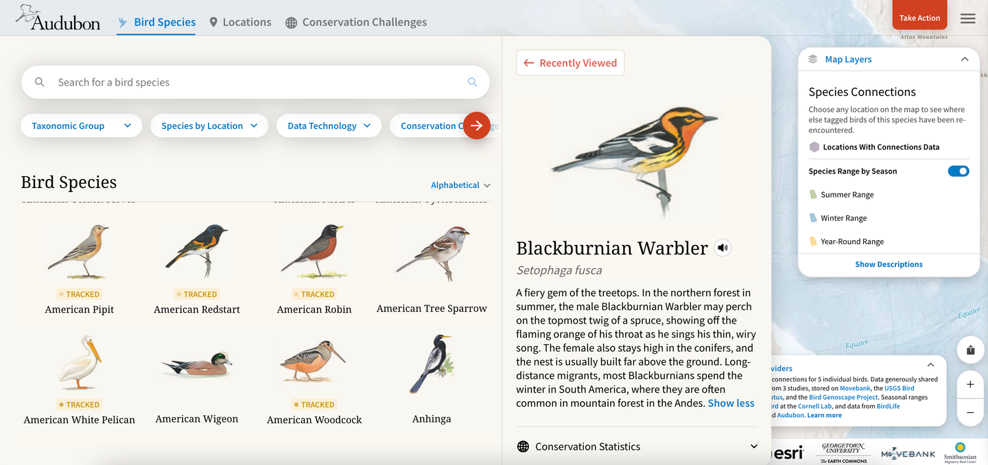 bird species featured on Audubon's new interactive tool