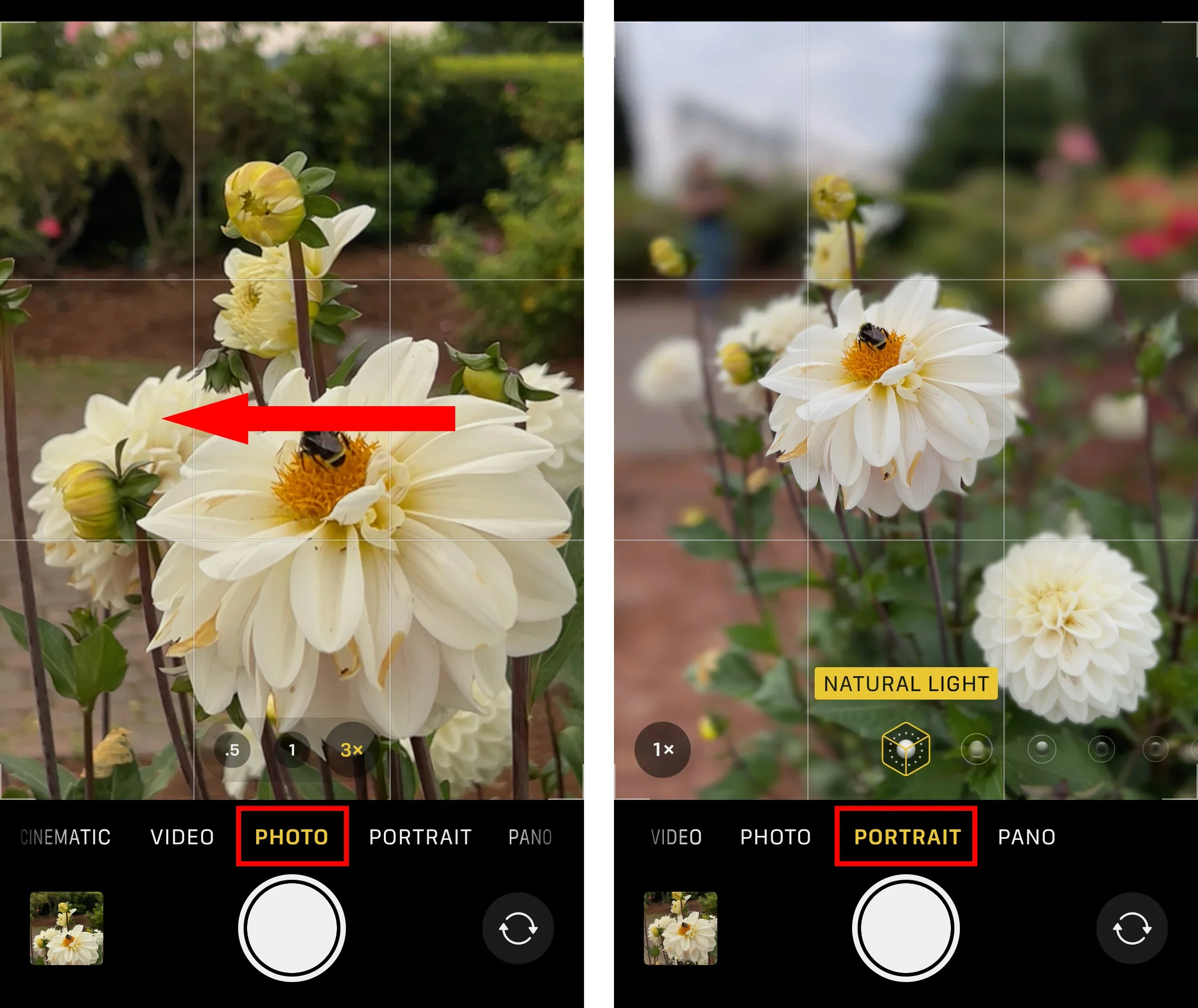 A smartphone camera has cool hidden features - here's how to find them