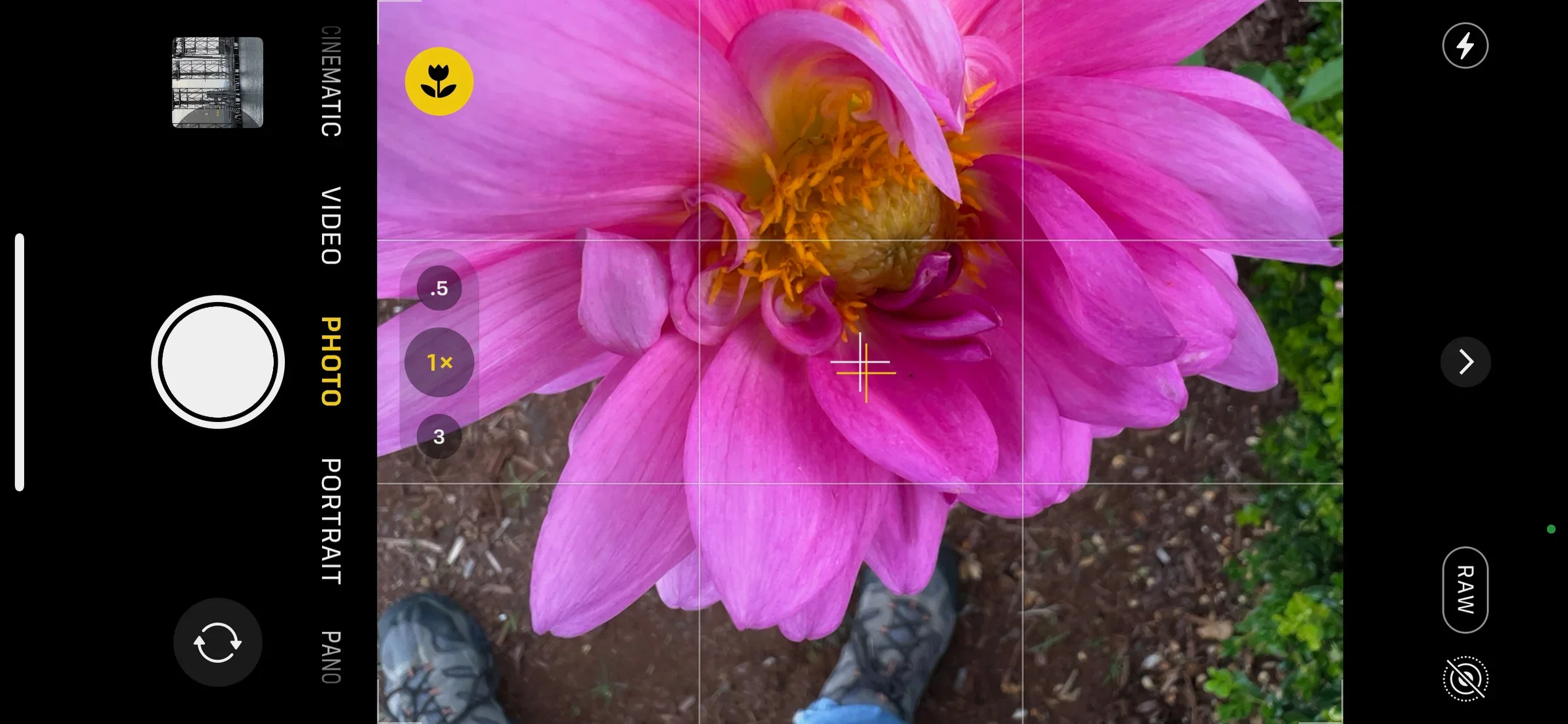 Your smartphone camera has great hidden features—here’s how to find them