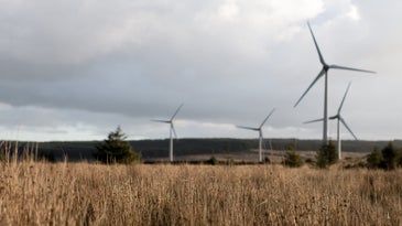A century ago, wind power was a farming norm. What happened?
