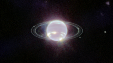 Neptune's faint rings glimmer in new James Webb Space Telescope image