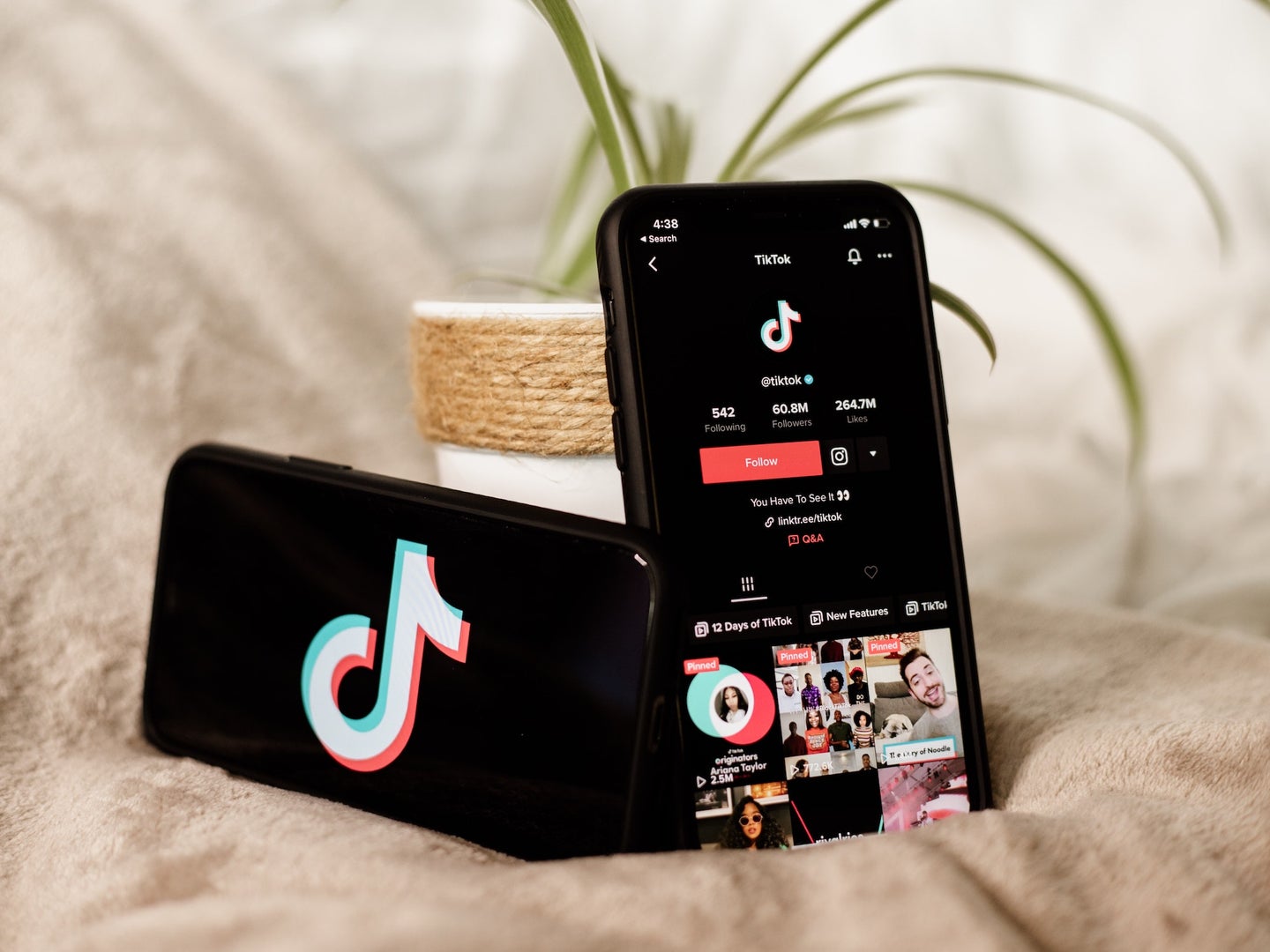 Two smartphones in front of a small plant with TikTok logo on one screen and TikTok homepage on the other