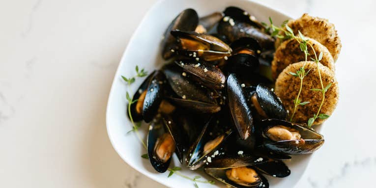 Eating seafood can be more sustainable and healthy than red meat