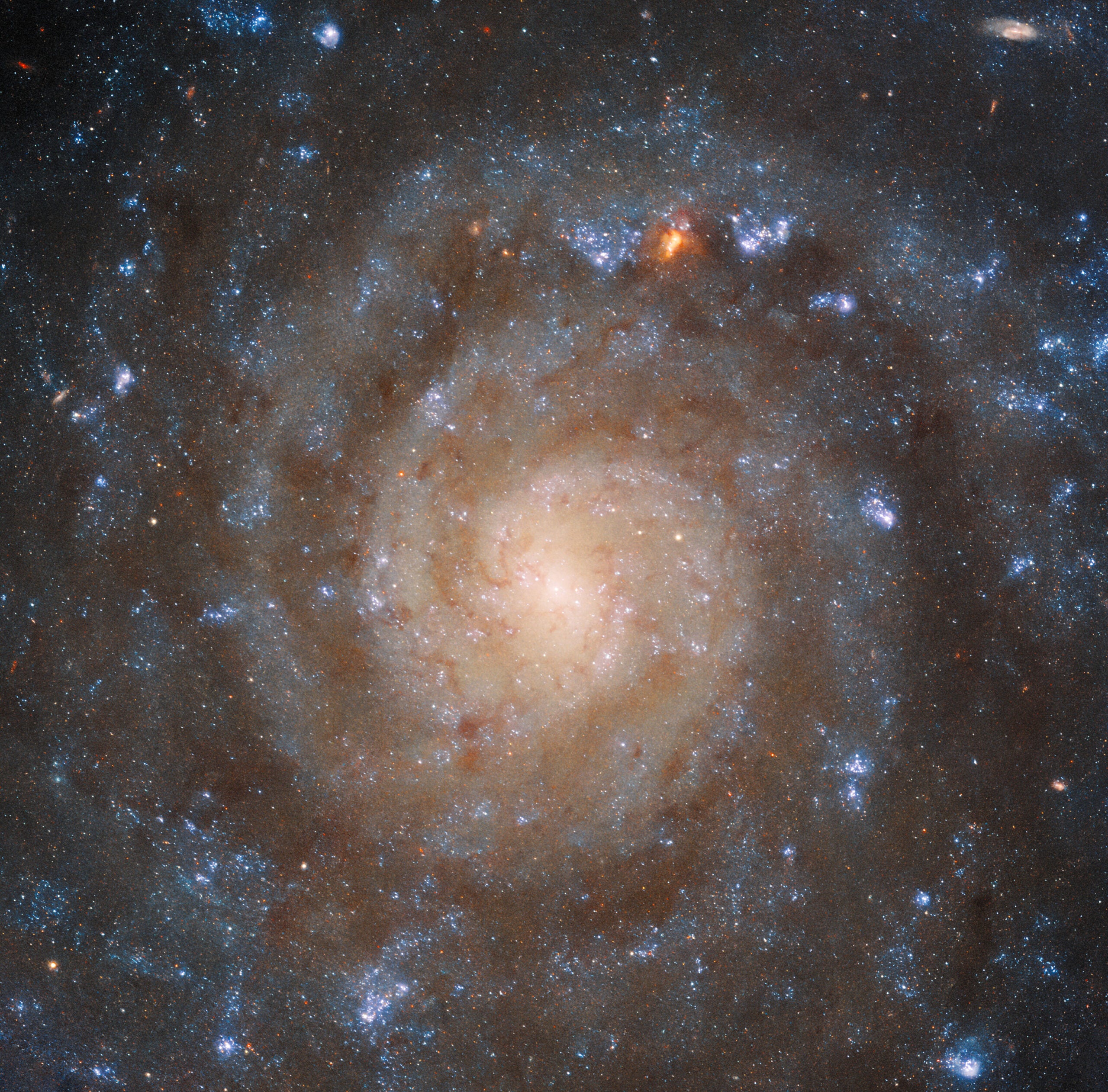 The winding spiral structure of the galaxy IC 5332 is portrayed in amazing detail by this image from the NASA/ESA Hubble Space Telescope. The clarity of Hubble’s Wide Field Camera 3 (WFC3) separates the arms of the galaxy from dark patches of dust in between, which block out the ultraviolet and visible light Hubble is sensitive to. Younger and older stars can be differentiated by their colours, showing how they are distributed throughout the galaxy. Meanwhile, Webb’s MIRI image provides a very different view, instead highlighting the patterns of gas spread throughout the galaxy.