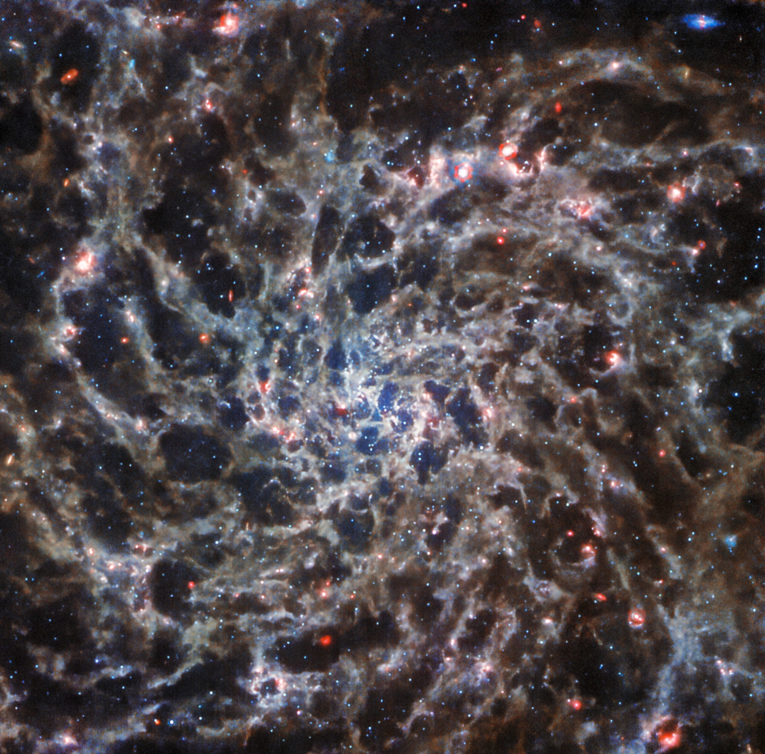 This image of the spiral galaxy IC 5332, taken by the NASA/ESA/CSA James Webb Space Telescope with its MIRI instrument, has been scaled and cropped to match the NASA/ESA Hubble Space Telescope’s view of the same galaxy.