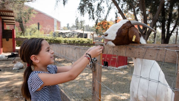 7 ways to support a kid who wants to care for animals