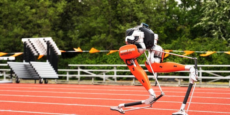 This robot broke a Guinness World Record for the 100-meter dash