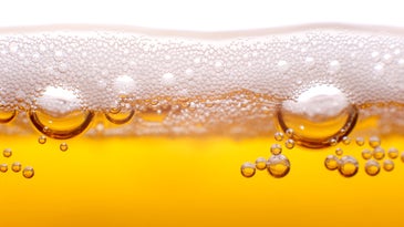 The key to tastier beer might be mutant yeast—with notes of banana