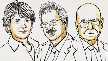The Nobel Prize in Chemistry just went to 3 scientists who simplified reactions in the lab