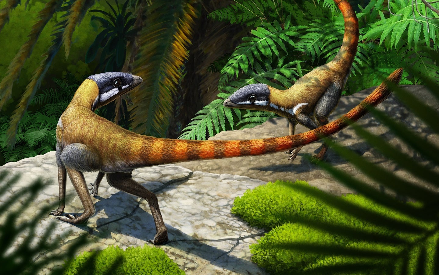 a colorful illustration of two bipedal dinosaurs