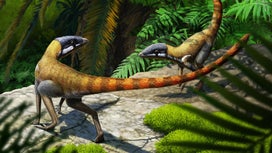 This pterosaur ancestor was a tiny, flightless dog-like dinosaur