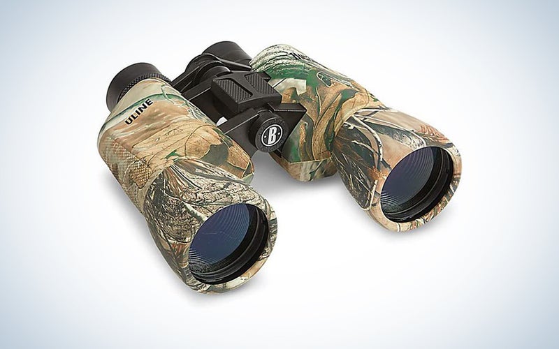 A pair of camo binoculars on a blue and white background