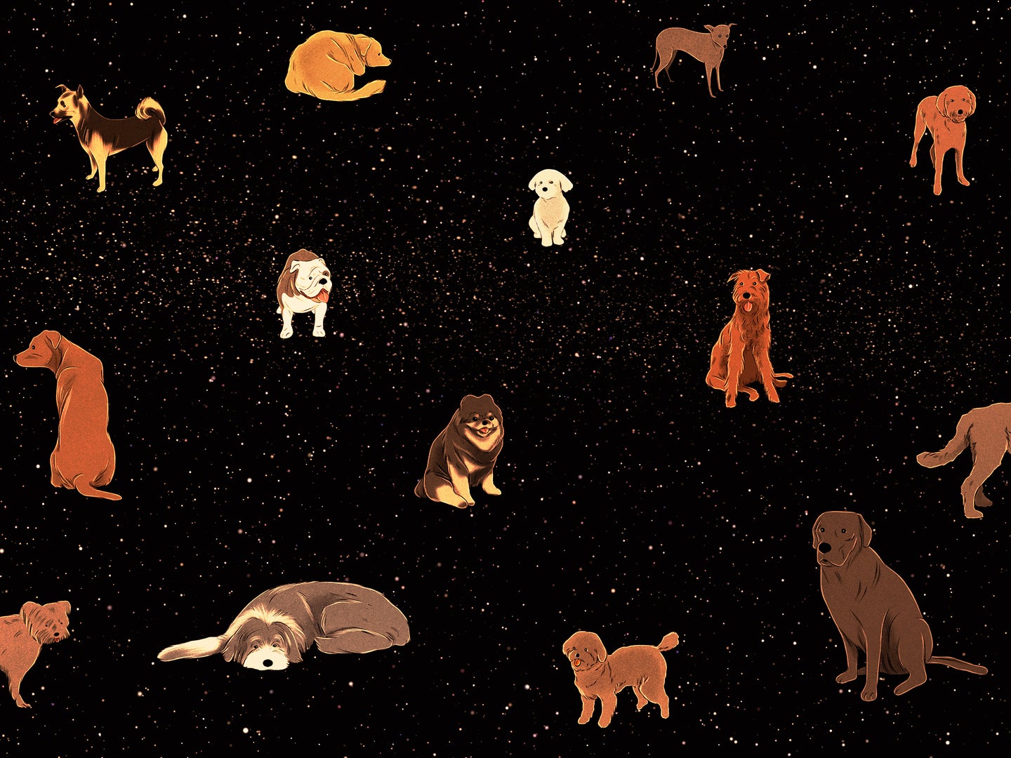 Shy dogs sitting apart on a black background in an illustration