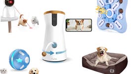 Now's the time to save on the Furbo 360-degree Dog Camera and more pet gear during the Amazon Early Access Sale.