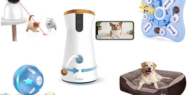 Save $63 on the Furbo 360 Dog Camera during Prime Early Access