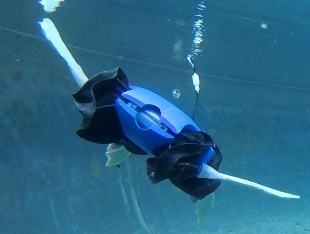 ART, the turtle robot, gets by swimmingly in water and on land