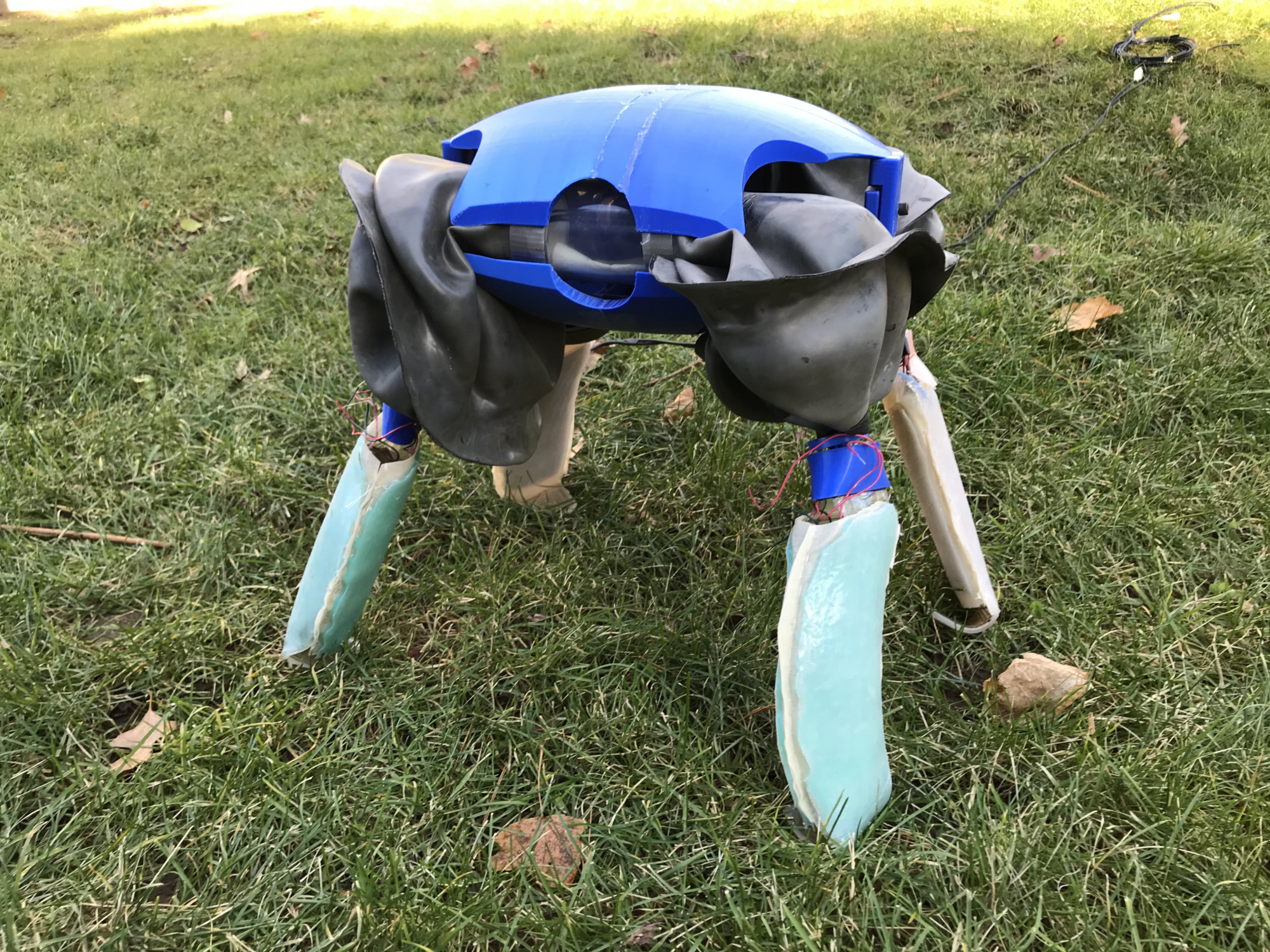 ART turtle robot on the grass