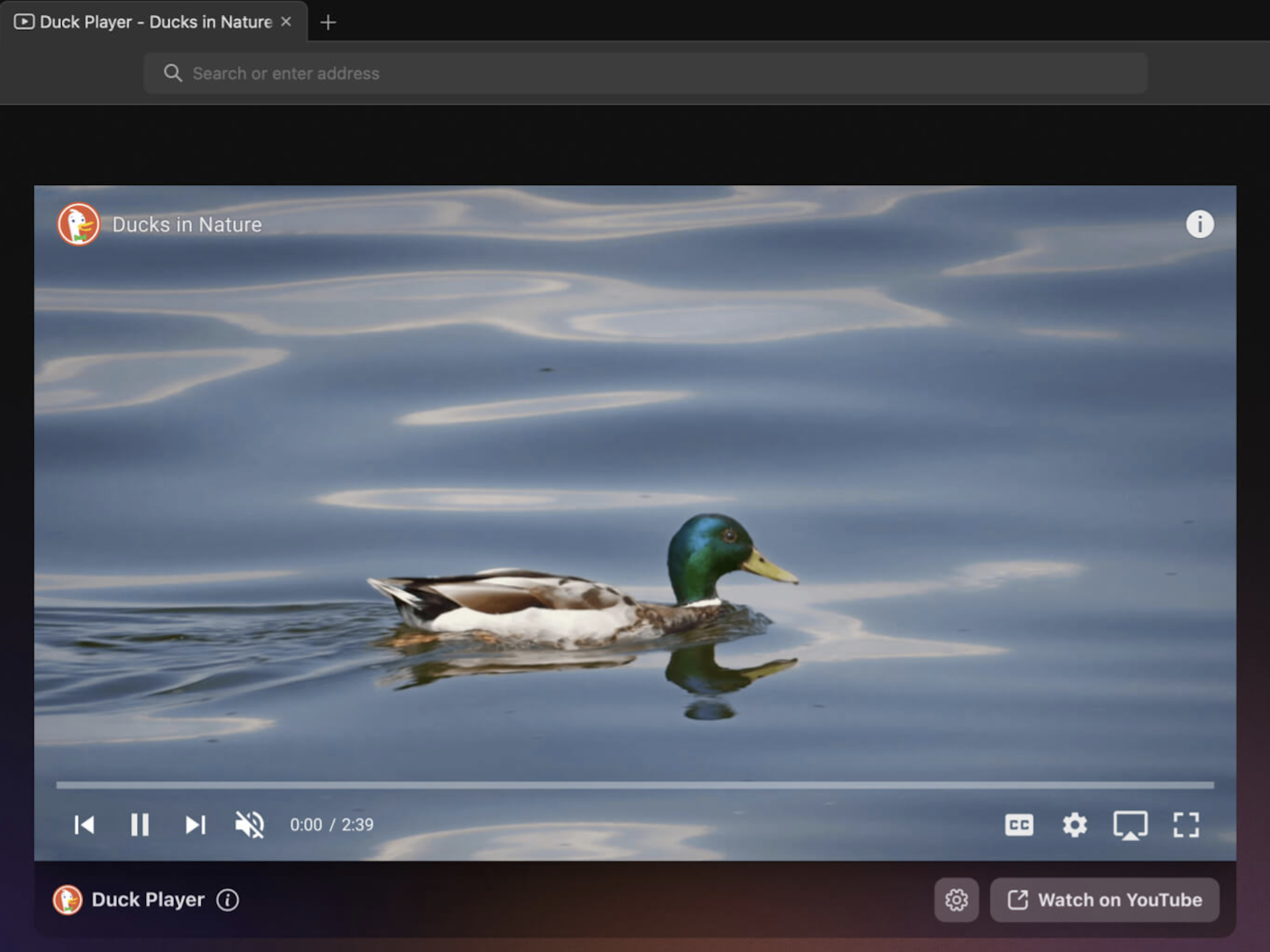 DuckDuckGo browser displaying Duck Player YouTube video portal