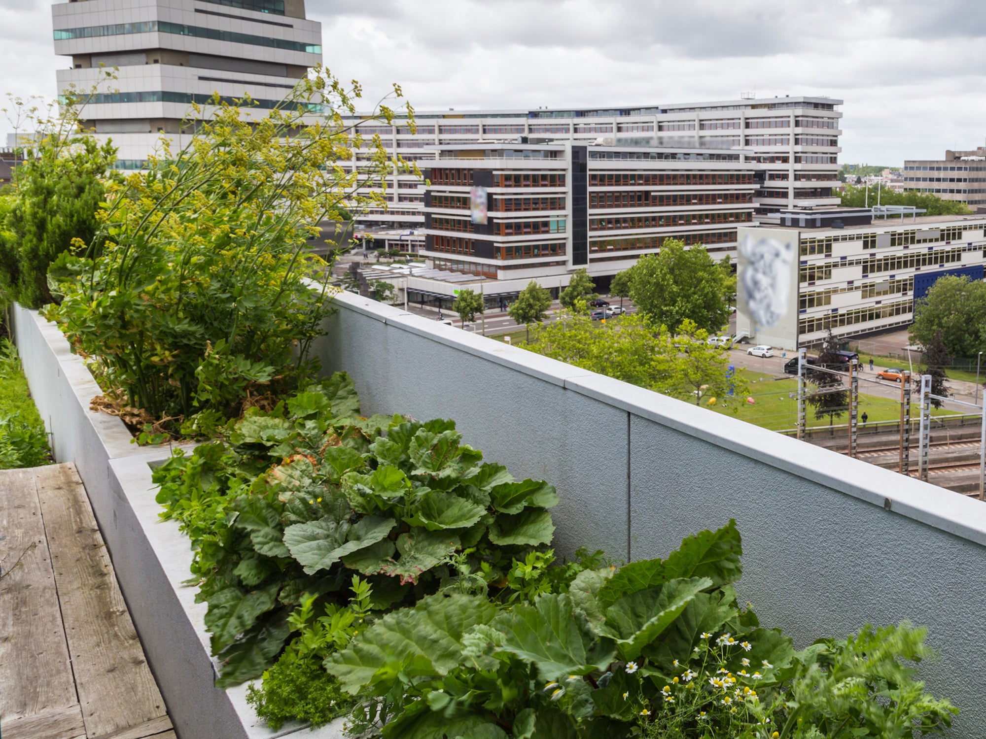 Pumping carbon dioxide waste to rooftop gardens boosts crop yields