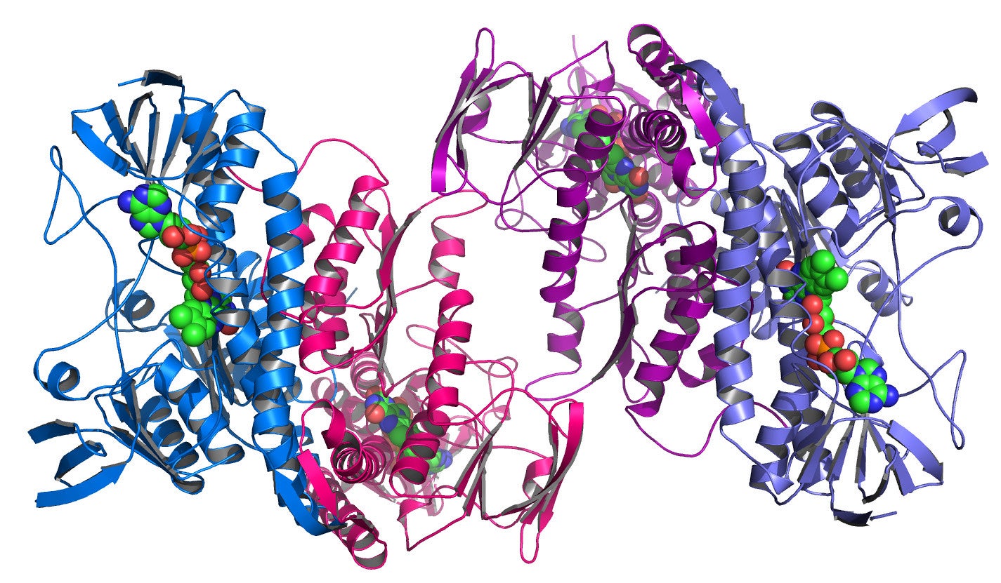 protein structure 3D