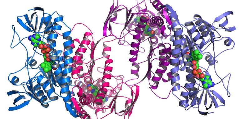 Meta’s AI could shake up how we study protein structures